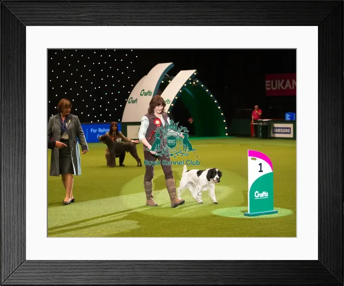 Framed Print : Winner of the Gamekeepers Framed Print : Winner of the Gamekeepers