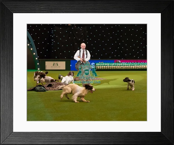 Framed Print : Adrian Slater Gundog Presentation Framed Print : Adrian Slater Gundog Presentation