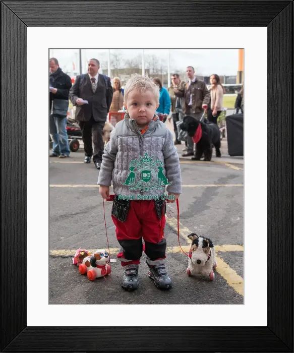 Framed Print : General shot on Friday of little boy arriving with two toy dogs Framed Print : General shot on Friday of little boy arriving with two toy dogs