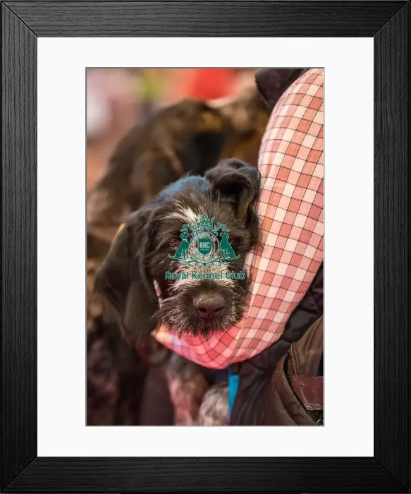 Framed Print : General shot