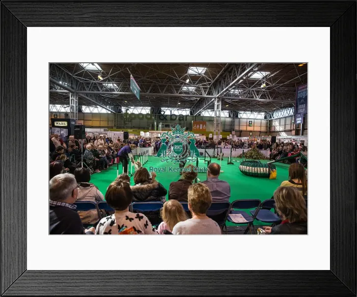 Framed Print : Activities ring