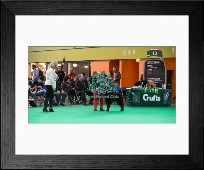 Framed Print : General judging shot Framed Print : General judging shot
