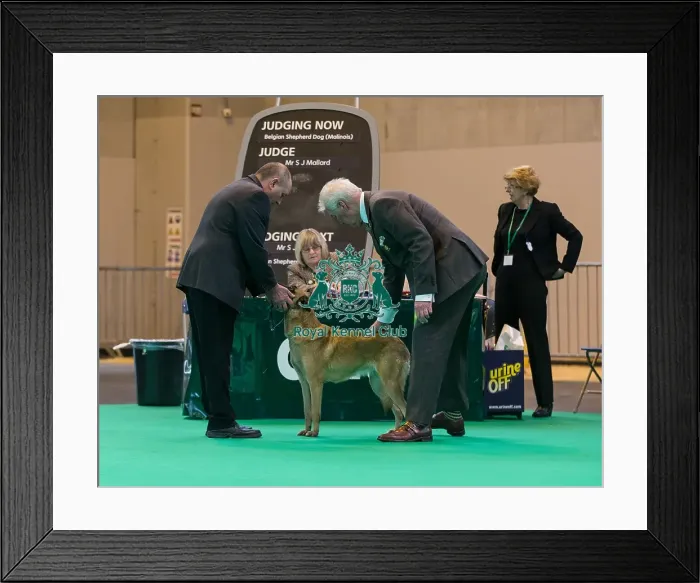 Framed Print : General Judging shot Framed Print : General Judging shot