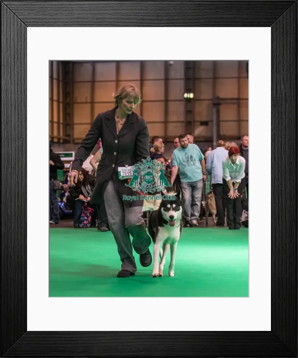 Framed Print : Competing Framed Print : Competing