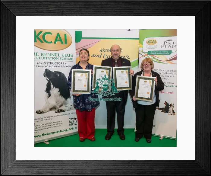 Framed Print : Photo Call KCAI Accreditation Certificate all three together Framed Print : Photo Call KCAI Accreditation Certificate all three together