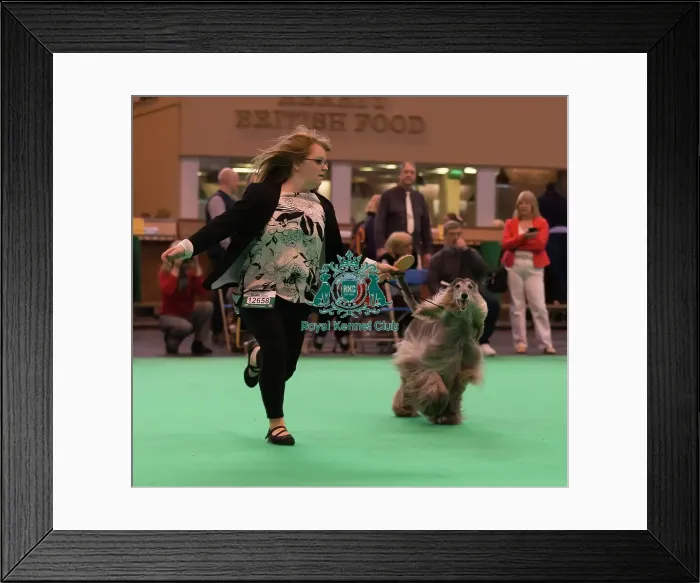 Framed Print : Competing Framed Print : Competing