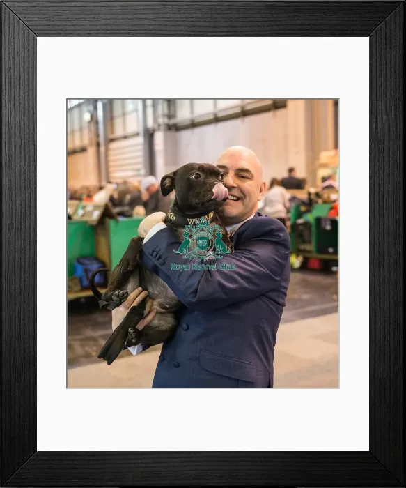 Framed Print : Terrier and handler Framed Print : Terrier and handler