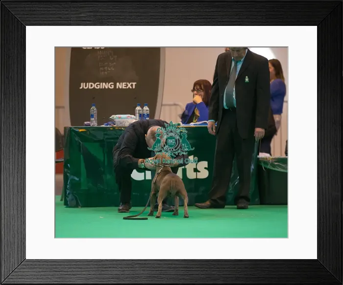 Framed Print : Judging eye to eye Framed Print : Judging eye to eye