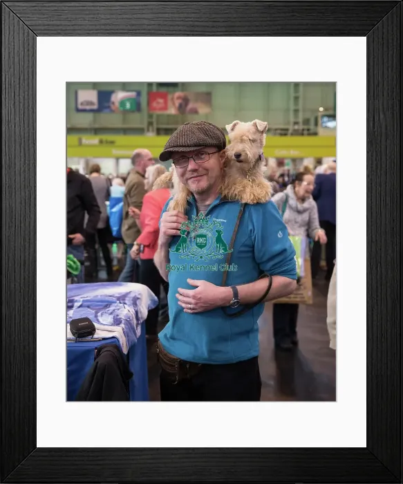 Framed Print : Lakeland terrier with handler