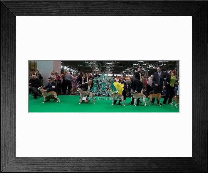 Framed Print : Judging Framed Print : Judging