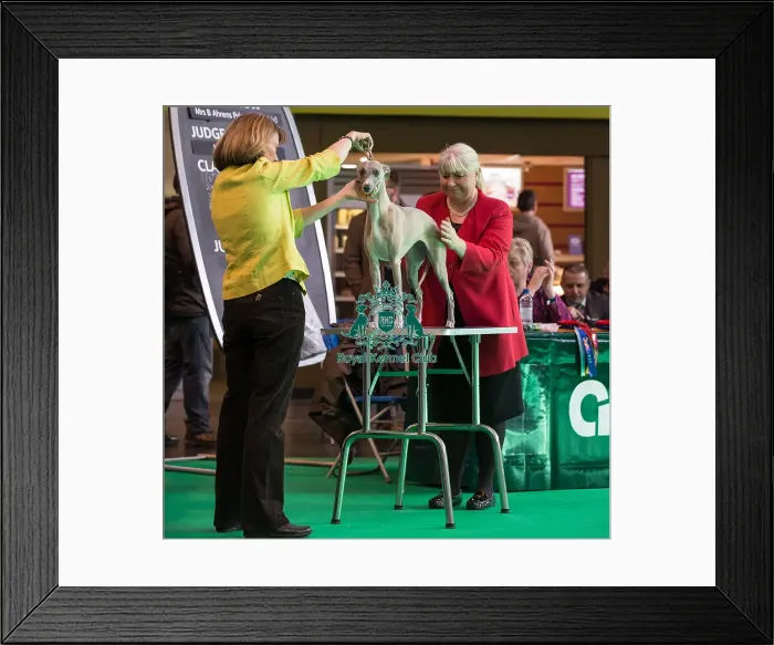 Framed Print : Judging Framed Print : Judging