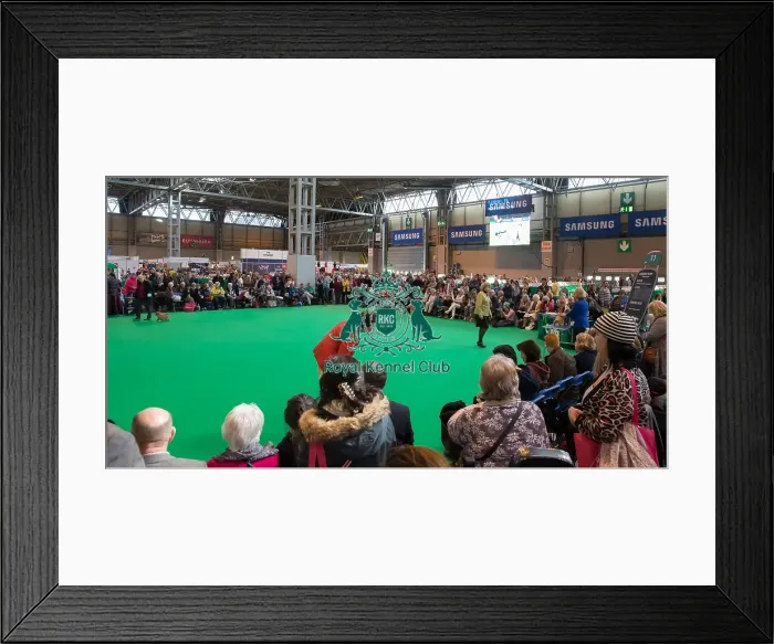 Framed Print : General ringside judging Framed Print : General ringside judging