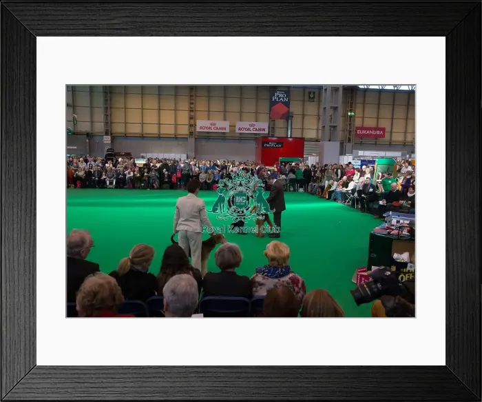 Framed Print : geral view judging Framed Print : geral view judging