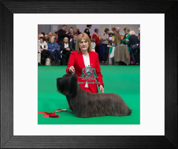 Framed Print : Winner of section Framed Print : Winner of section
