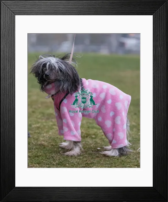 Framed Print : general shot arriving Framed Print : general shot arriving