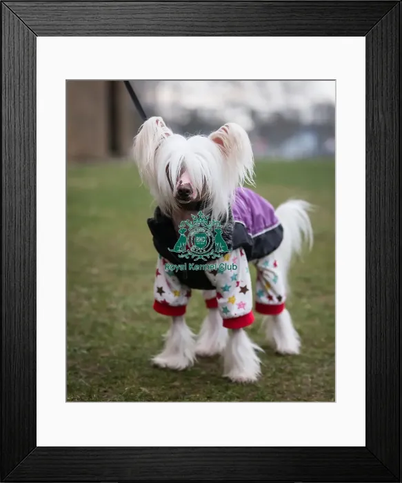 Framed Print : general shot arriving Framed Print : general shot arriving