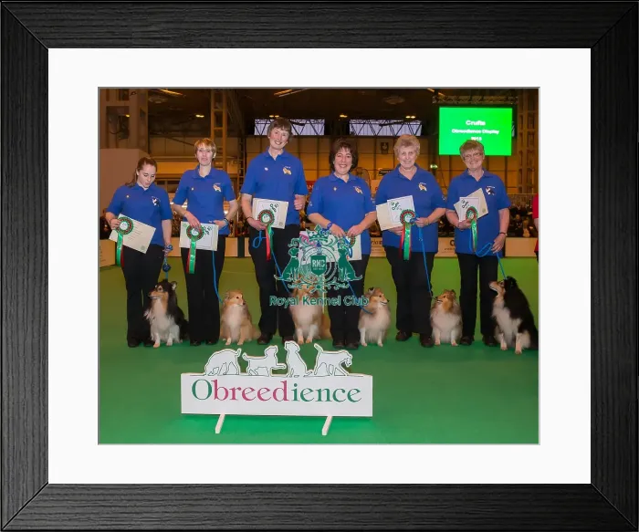 Framed Print : Photo call Obreedience Winners in Obedience ring on Saturday evening
