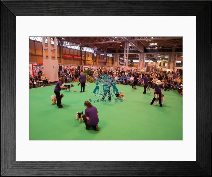 Framed Print : General View Framed Print : General View