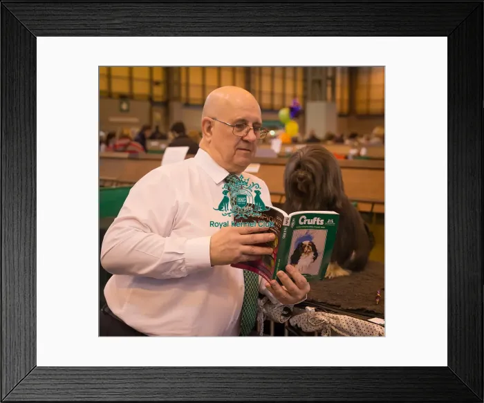 Framed Print : Fun shot reading Crufts guide Framed Print : Fun shot reading Crufts guide