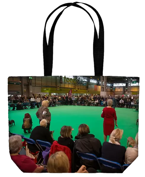 Over view of competing ring