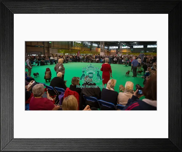 Framed Print : Over view of competing ring Framed Print : Over view of competing ring