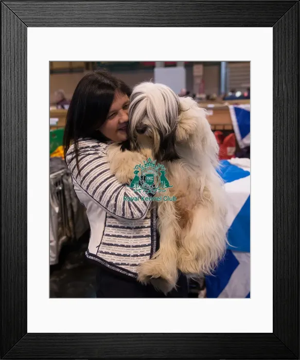 Framed Print : Fun general shot