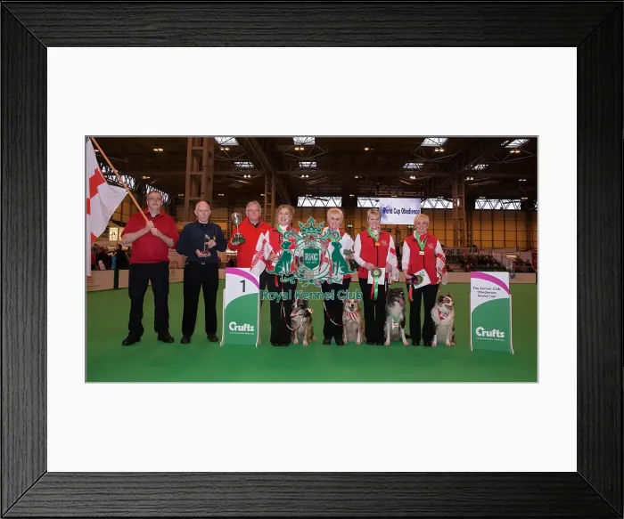 Framed Print : Photo Call Obedience World Cup Winner England Framed Print : Photo Call Obedience World Cup Winner England