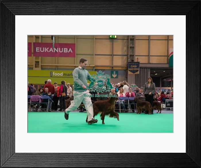 Framed Print : Outer Ring competing Framed Print : Outer Ring competing