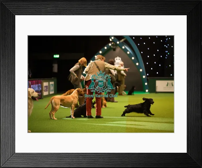 Framed Print : Philipa Williams Main Arena Framed Print : Philipa Williams Main Arena