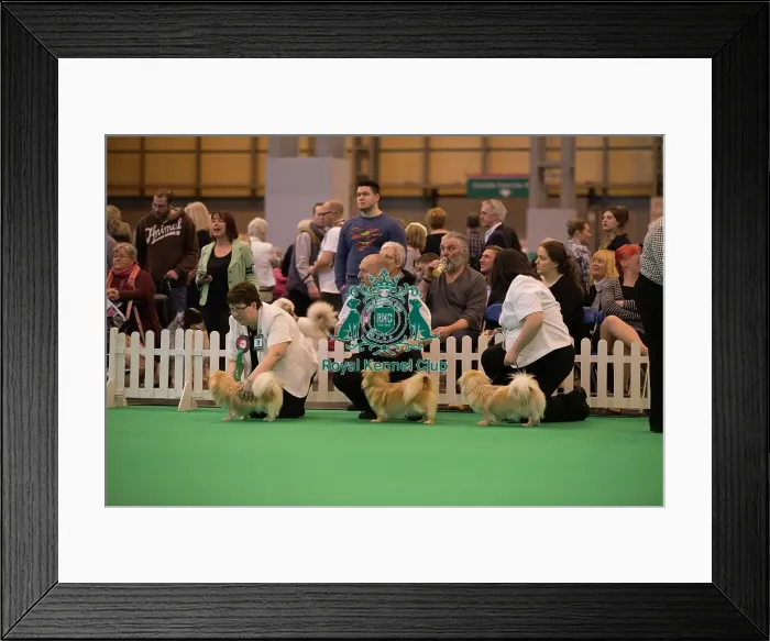 Framed Print : General photo outer ring Framed Print : General photo outer ring