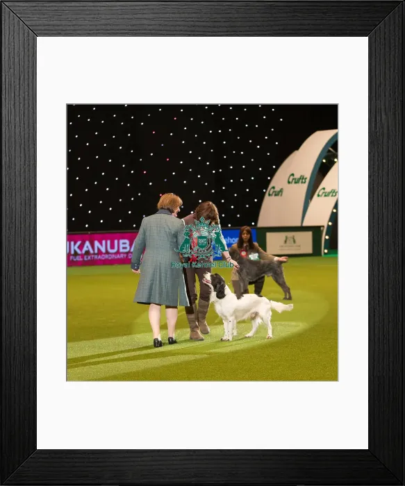 Framed Print : Winner of Gamekeepers competition Framed Print : Winner of Gamekeepers competition