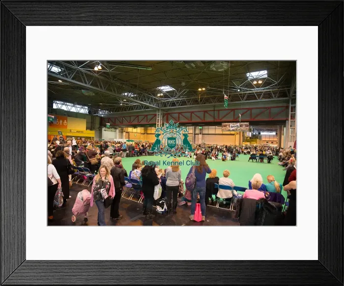Framed Print : General overview