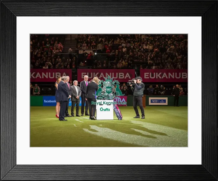 Framed Print : Best in Show