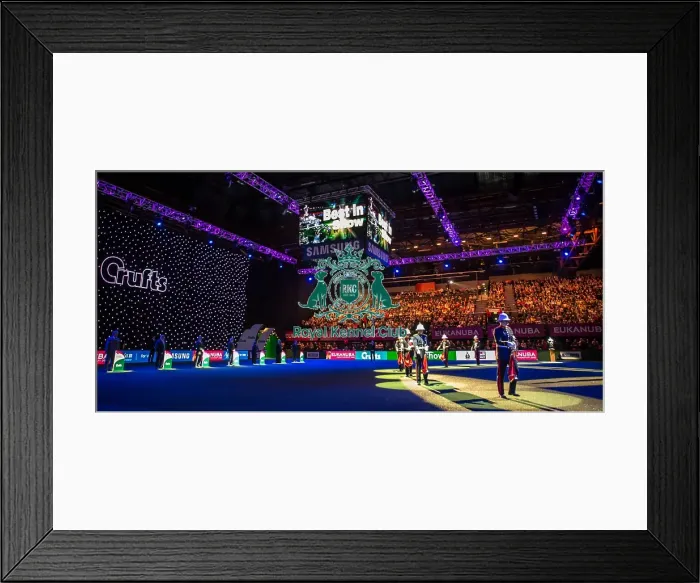 Framed Print : Best in Show Framed Print : Best in Show