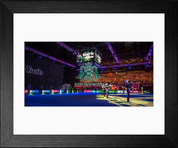 Framed Print : Awards
