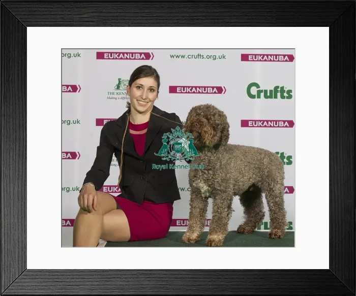 Framed Print : Crufts 2015 Framed Print : Crufts 2015