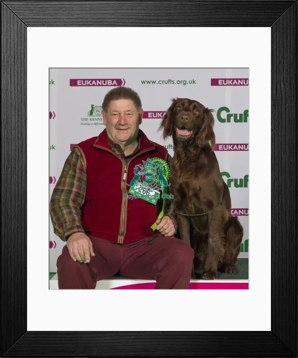 Framed Print : Crufts 2015 Framed Print : Crufts 2015