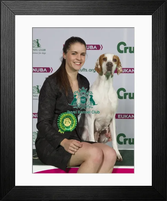 Framed Print : Crufts 2015 Framed Print : Crufts 2015