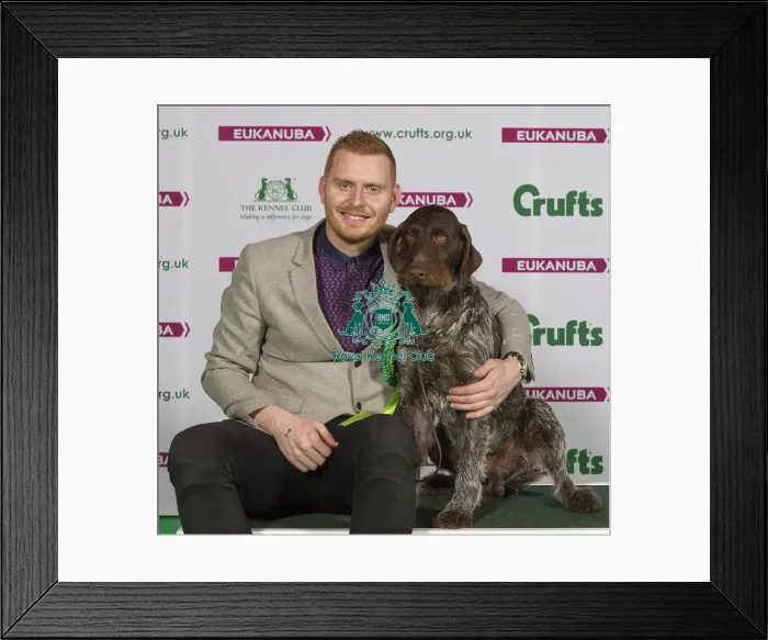 Framed Print : Crufts 2015