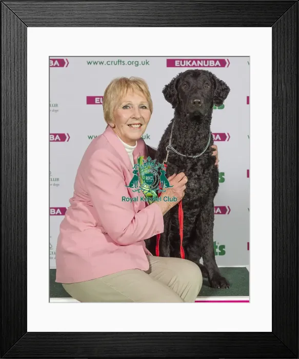 Framed Print : Crufts 2015 Framed Print : Crufts 2015