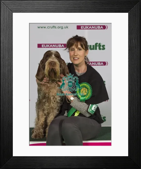 Framed Print : Crufts 2015 Framed Print : Crufts 2015