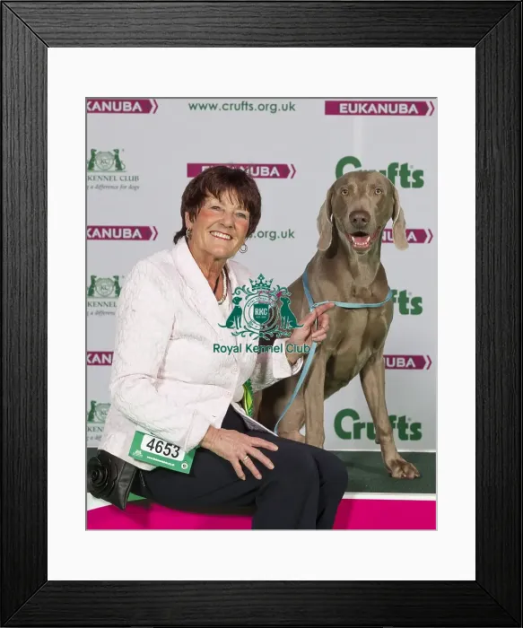Framed Print : Crufts 2015 Framed Print : Crufts 2015