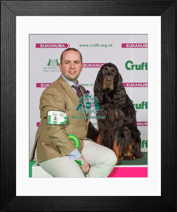 Framed Print : Crufts 2015 Framed Print : Crufts 2015