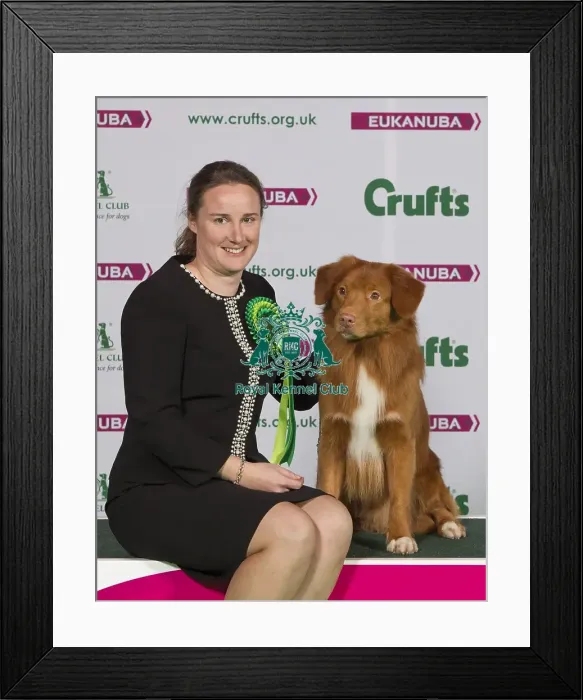 Framed Print : Crufts 2015 Framed Print : Crufts 2015
