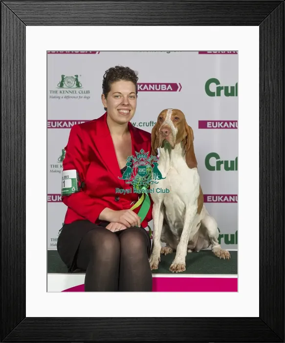Framed Print : Crufts 2015 Framed Print : Crufts 2015