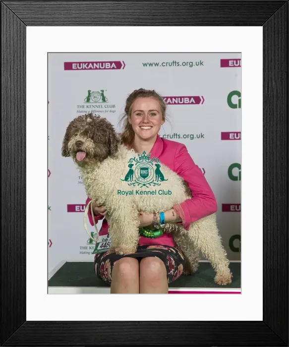 Framed Print : Crufts 2015 Framed Print : Crufts 2015