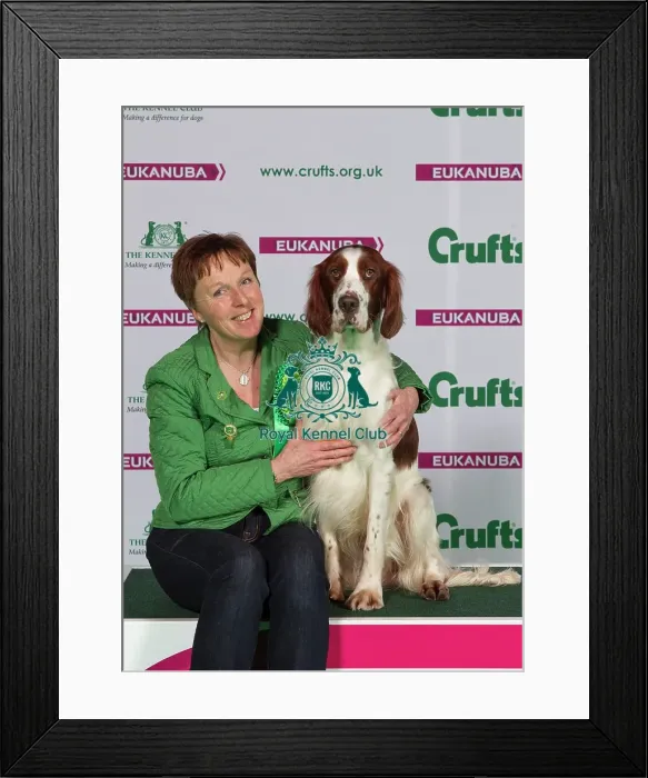 Framed Print : Crufts 2015 Framed Print : Crufts 2015