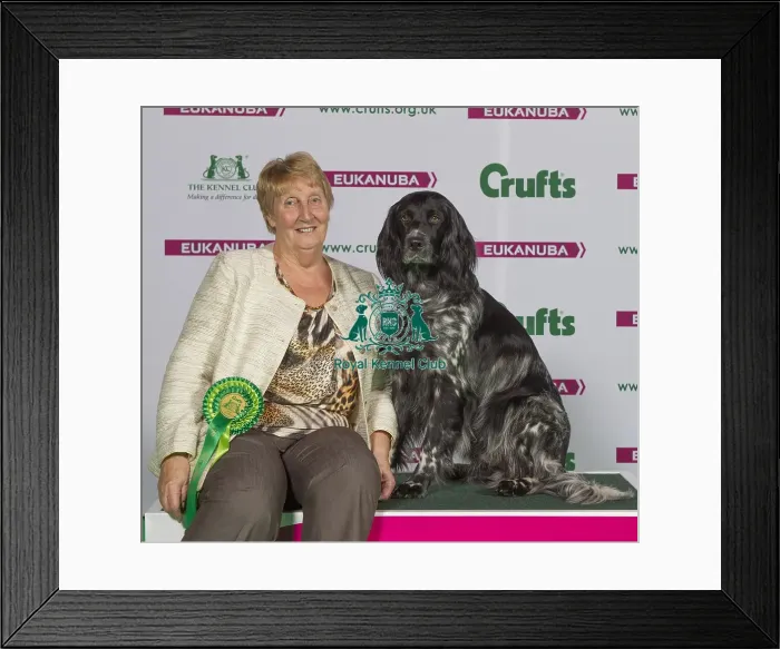 Framed Print : Crufts 2015 Framed Print : Crufts 2015