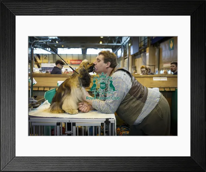 Framed Print : Crufts 2015 Framed Print : Crufts 2015