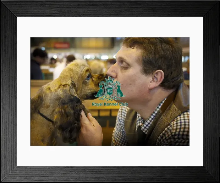 Framed Print : Crufts 2015 Framed Print : Crufts 2015